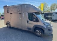 Hagstedt Stablehopper  EZ  04/2015